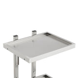 Professional Double-Tier Metal Salon Trolley - Heavy Duty Stainless Steel Service Cart with 360° Rotating Wheels