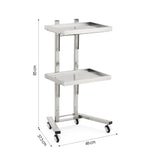 Professional Double-Tier Metal Salon Trolley - Heavy Duty Stainless Steel Service Cart with 360° Rotating Wheels