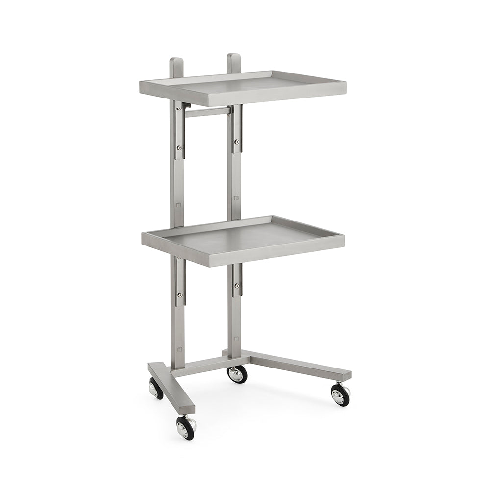 Professional All-Metal Mobile Salon Trolley - Double-Tier Stainless Steel Service Cart with 360° Rotating Caster Wheels