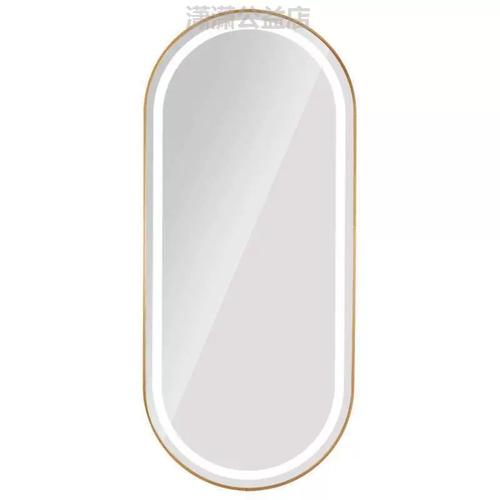 Oval LED Illuminated Salon Wall Mirror